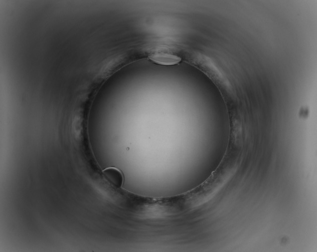 X0000103410259200809121312