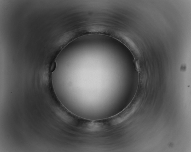 X0000103410261200809121312