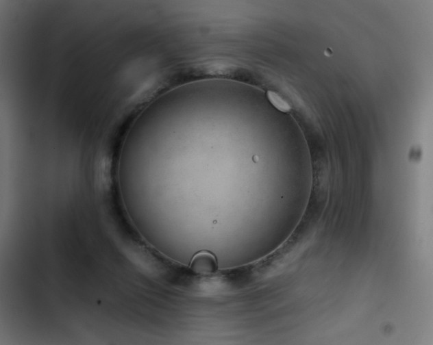 X0000103410262200809121312