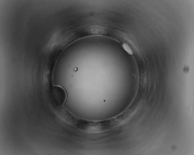 X0000103410263200809121312