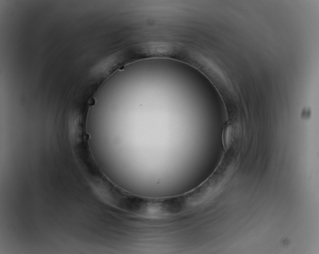 X0000103410264200809121312