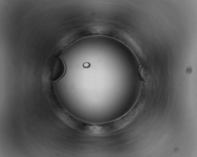 X0000103410265200809121312