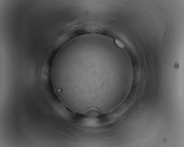 X0000103410266200809121312