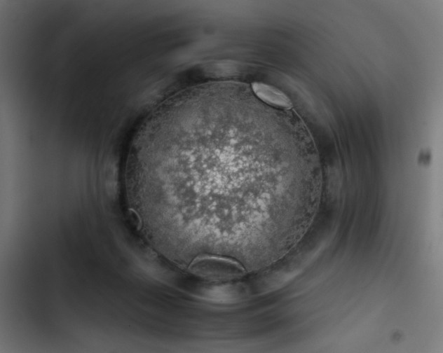 X0000103410267200809121312