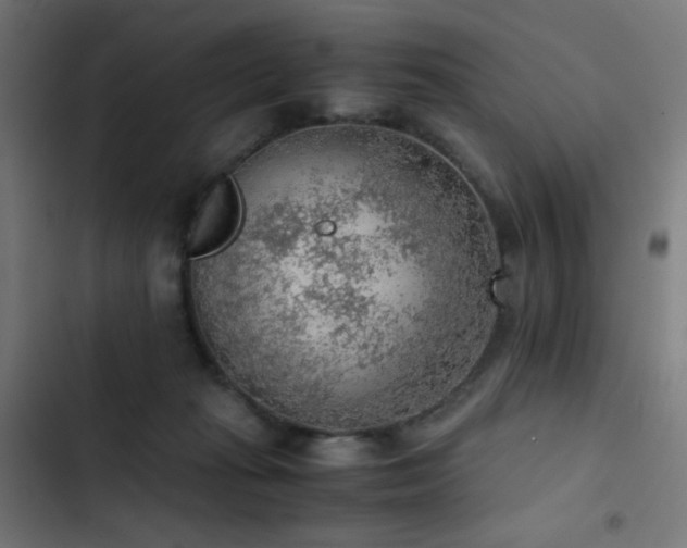 X0000103410269200809121312