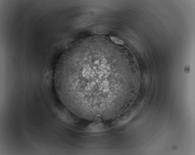 X0000103410271200809121312