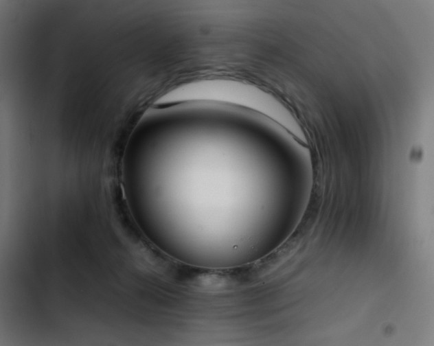 X0000103410272200809121312