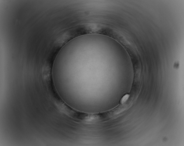 X0000103410274200809121312