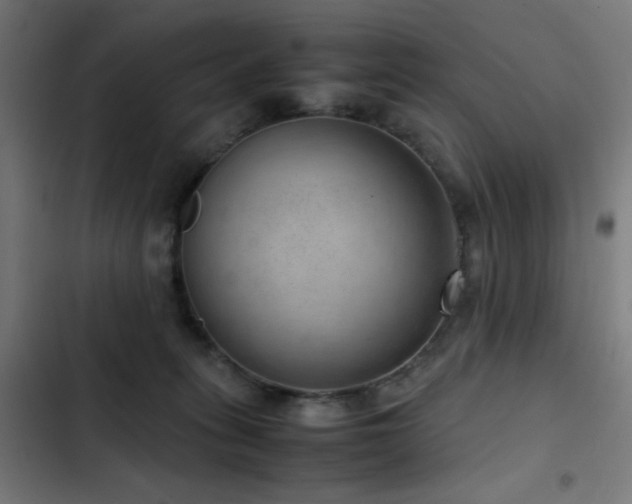 X0000103410275200809121312