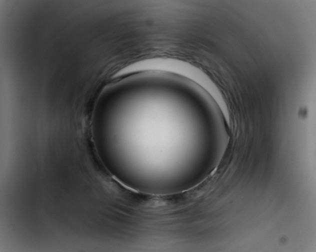 X0000103410276200809121312