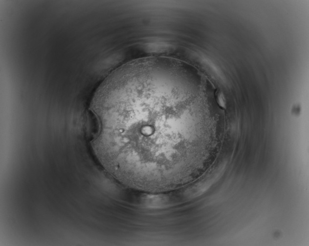 X0000103410277200809121312