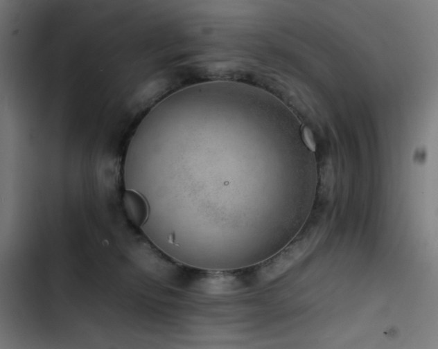 X0000103410278200809121312