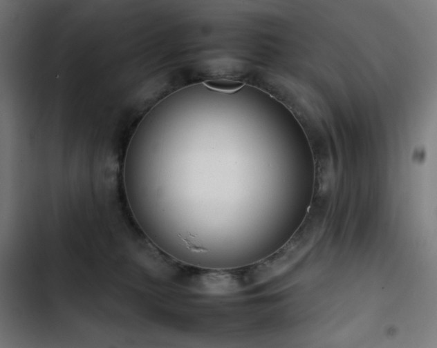 X0000103410279200809121312