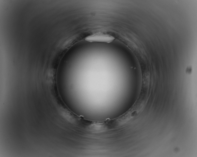 X0000103410280200809121312