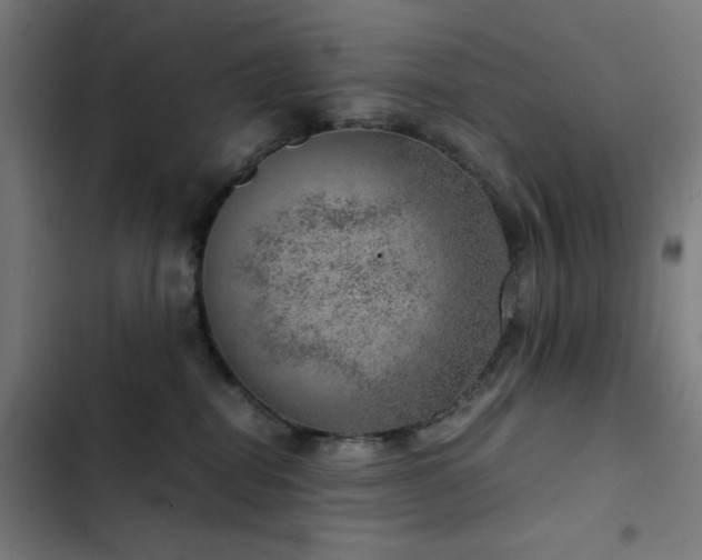 X0000103410282200809121312