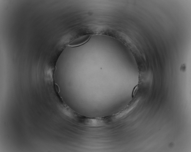 X0000103410286200809121312