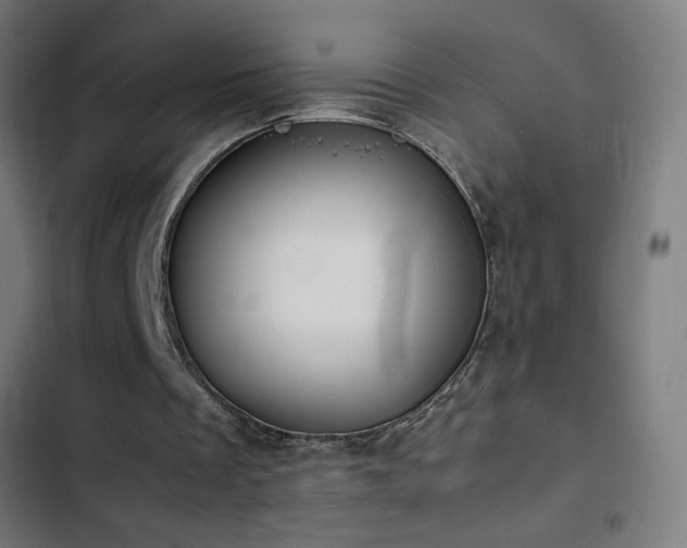 X0000103410289200809121312