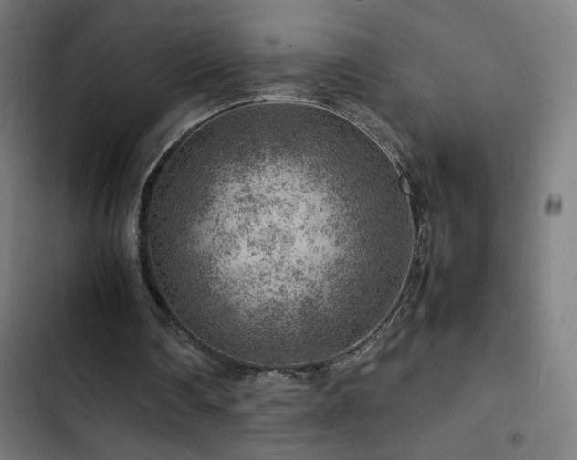 X0000103410290200809121312