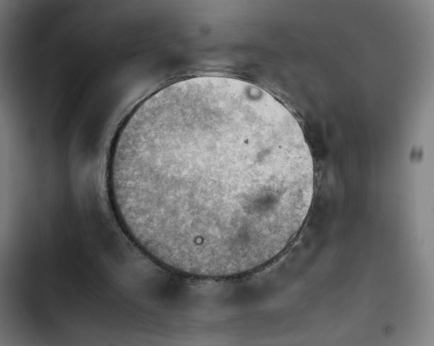 X0000103410293200809121312