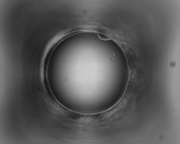 X0000103410294200809121312