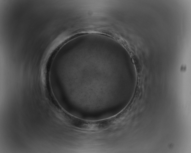 X0000103410295200809121312