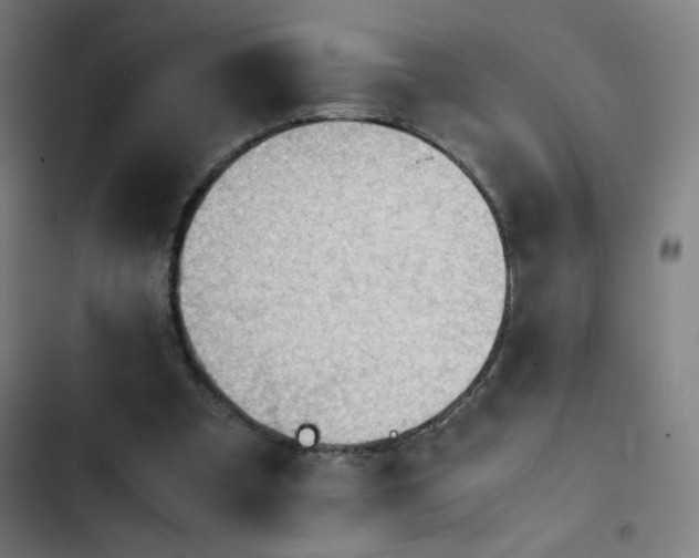 X0000103410297200809121312