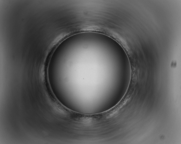 X0000103410298200809121312