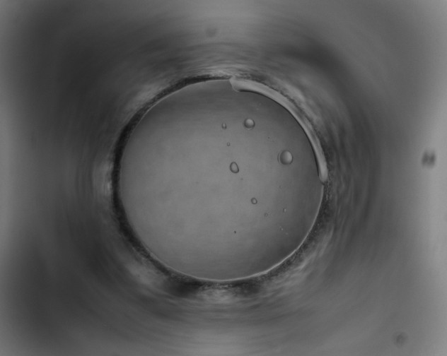 X0000103410299200809121312