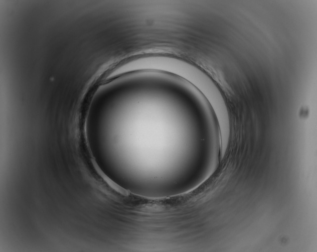 X0000103410300200809121312