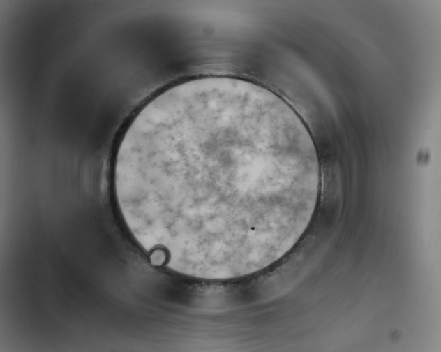 X0000103410301200809121312