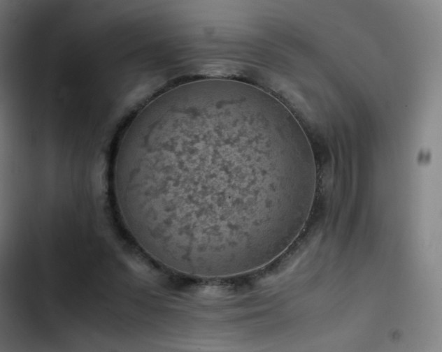 X0000103410303200809121311