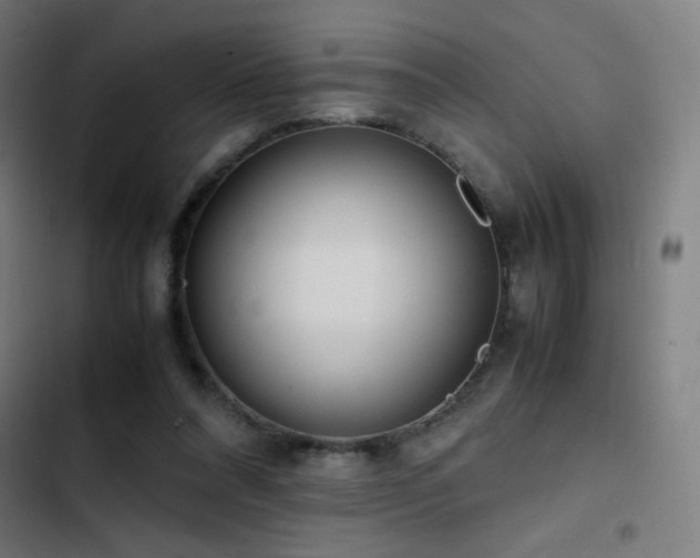 X0000103410304200809121311