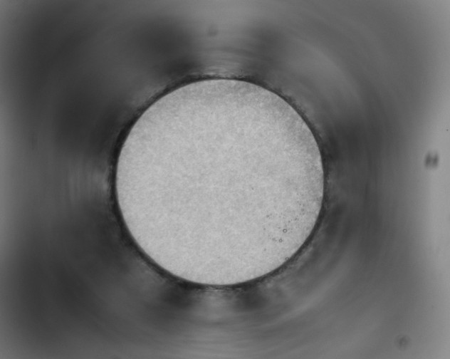 X0000103410305200809121311