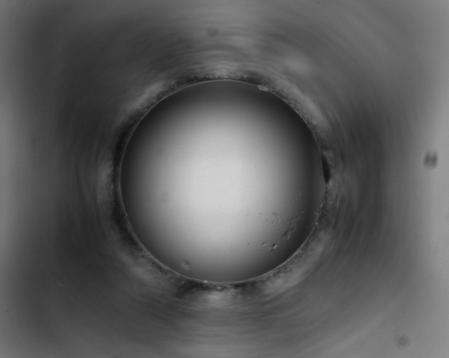 X0000103410306200809121311