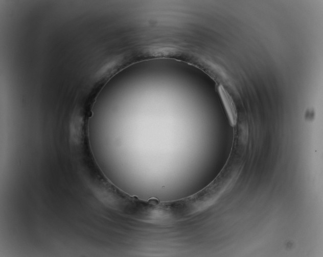 X0000103410308200809121311