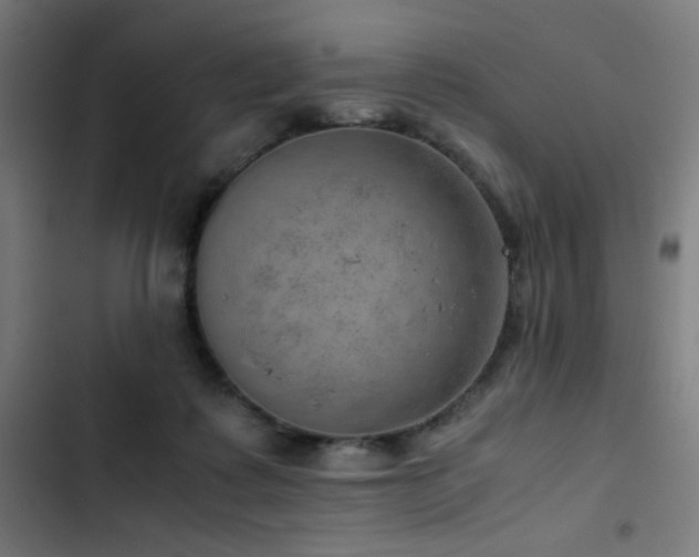 X0000103410315200809121311