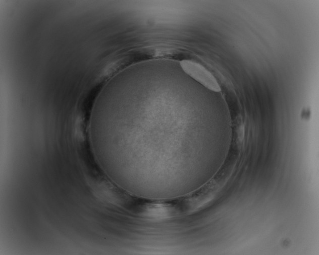 X0000103410316200809121311