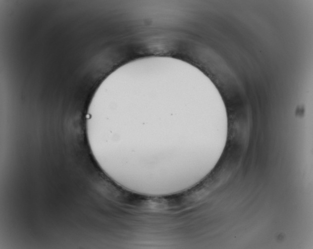 X0000103410317200809121311