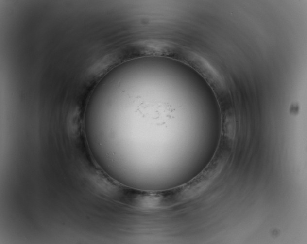 X0000103410318200809121311