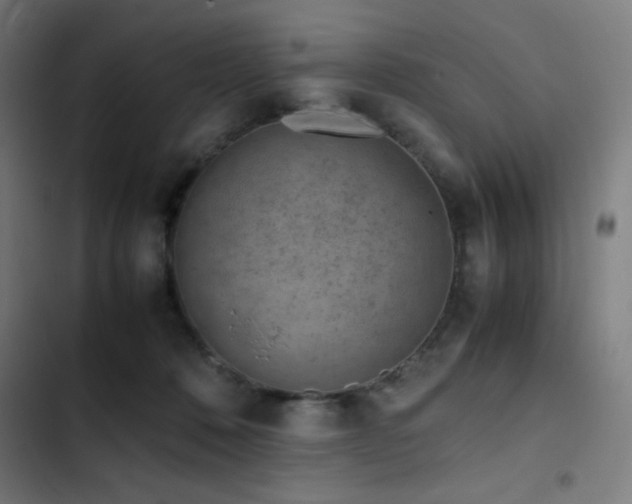 X0000103410320200809121311