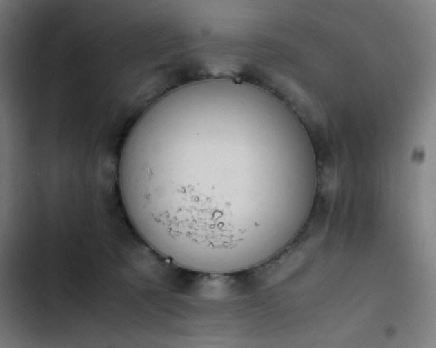 X0000103410321200809121311