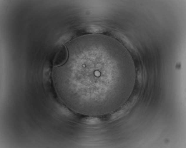 X0000103410322200809121311