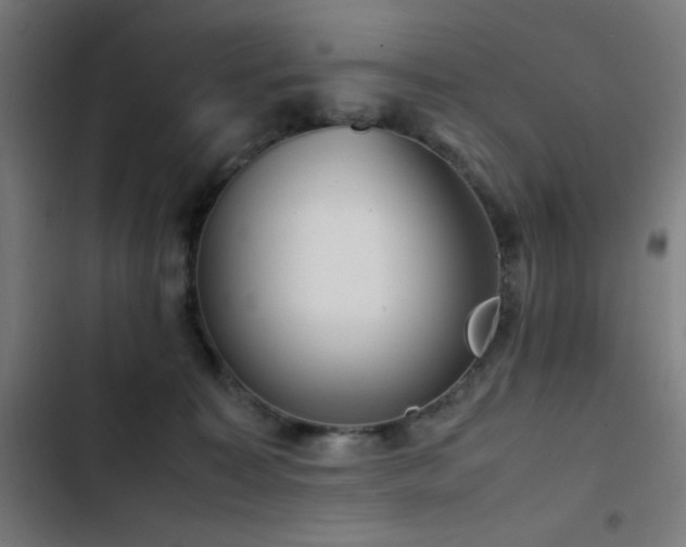 X0000103410323200809121311