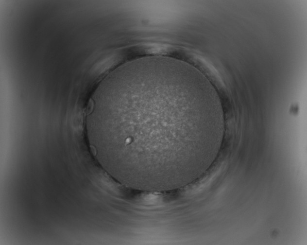 X0000103410325200809121311