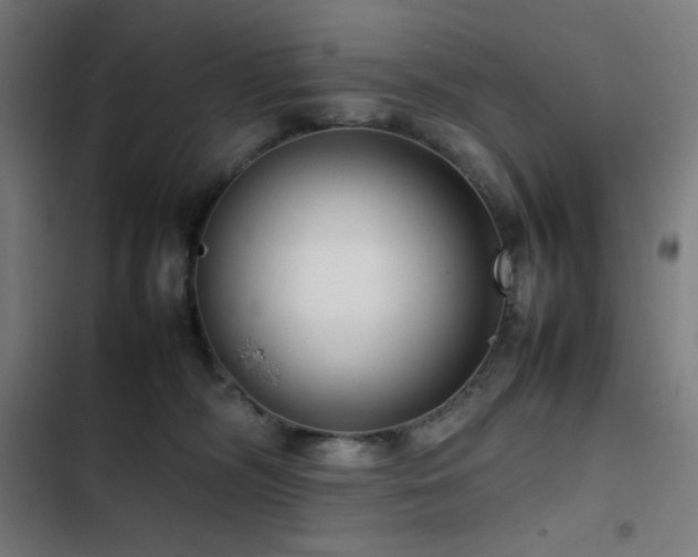 X0000103410326200809121311