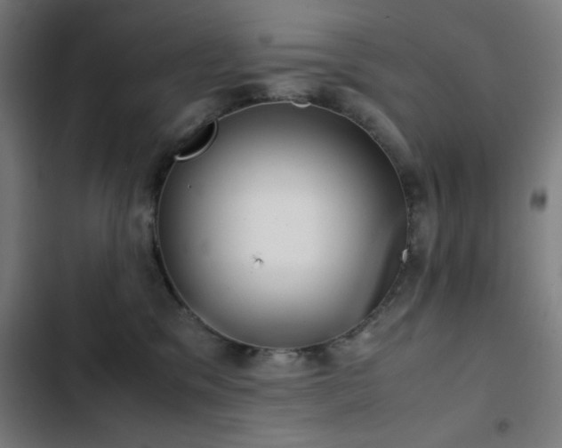 X0000103410329200809121311