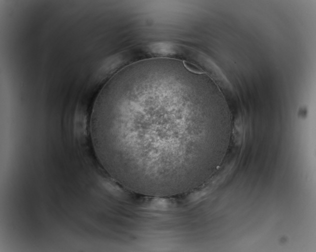 X0000103410330200809121311