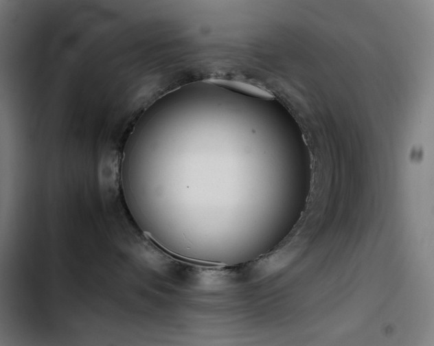 X0000103410336200809121311