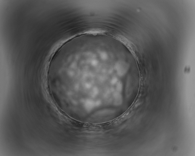 X0000103410337200809121310