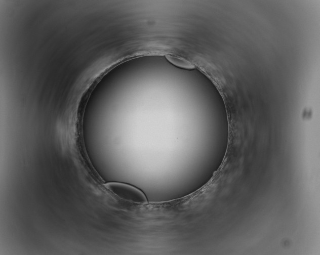 X0000103410338200809121310